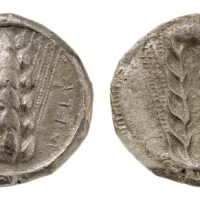  古希腊梅塔蓬城麦穗银币 NGC：VF