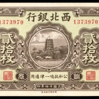  民国十四年（1925年），西北银行贰拾枚