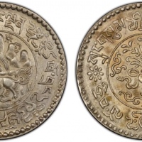  西藏桑松果木三两普通 PCGS MS 63