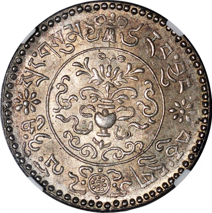  西藏桑松果木三两1946 NGC MS 64