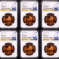  1996年中国珍稀野生动物纪念5元华南虎精制 NGC MS 68