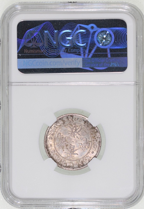  1876-H香港二毫，有包浆，NGC UNC Details，背面銼边，#6376742-006