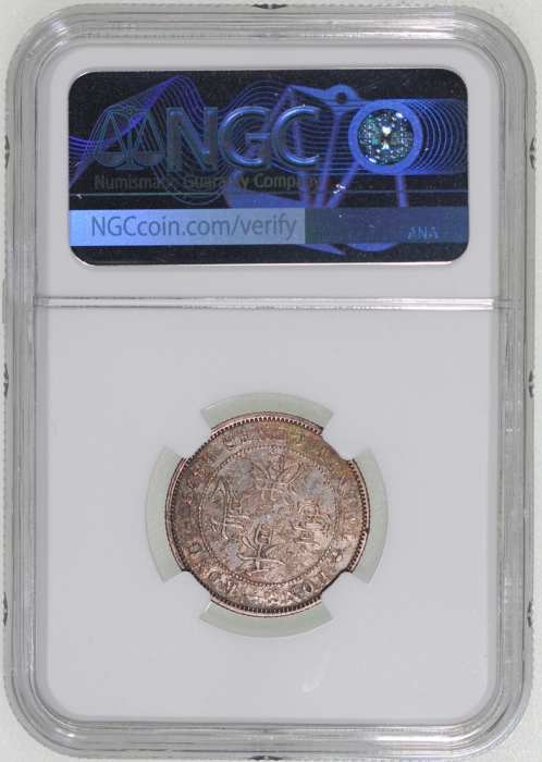  1873年香港二毫，有包浆，NGC VF Details有清洗，#6376742-004