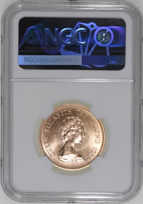  1982年香港十二生肖狗年$1000纪念金币，NGC MS69，#6377540-002，连小册子