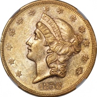  1858年美国20元金币，NGC AU Details (背面有清洗)