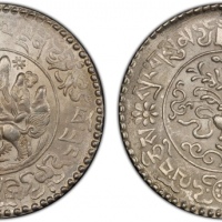  西藏桑松果木三两普通 PCGS MS 64