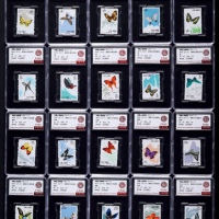  1963年特56蝴蝶新票全套20枚