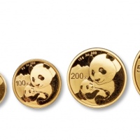  2019年熊猫纪念金币一组5枚 完未流通