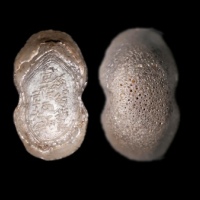  明“丝娟折艮壹拾两”银锭 方乾评级 MS62+ 