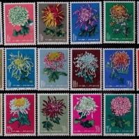  1960年特44菊花新票全套18枚