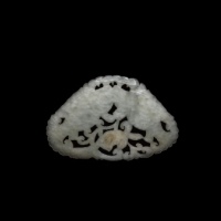  清白玉双鱼蝴蝶片 