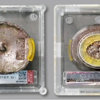  清四川“邛州丙午盐本”双排戳十两椭圆形银锭一枚，重：397g，铭文清晰，原味包浆带底光，状态上佳，罕见名誉品，公博 XF+（60100826）<br>来源：戴学文先生旧藏<br>编者按：此件，系近年仅