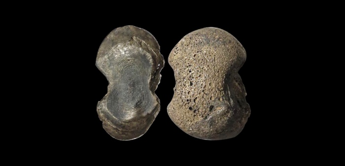  明素面五两型银锭 华夏评级UNC+