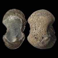  明素面五两型银锭 华夏评级UNC+