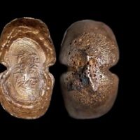  明夔州府匠李俊银锭 方乾评级MS62