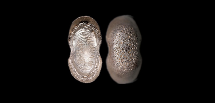  明“天启二年谷城县”十两型银锭 方乾评级 MS62+ 