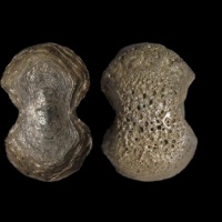  明素面五两型银锭 华夏评级UNC+