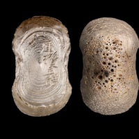  明“库攒王皓”五两型银锭 方乾评级 MS62 