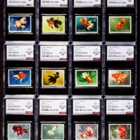  1960年特38金鱼新票全套12枚