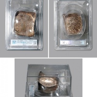  清江西“万年县·光绪贰拾伍年拾月·伍拾两·匠林海”五十两方形银锭一枚，重：1875g，俗称“江西方宝”，锭形方正，字戳清晰，原色银光，柔润闪亮，状态一流，品相极佳，十分难得，方乾 MS61（80004