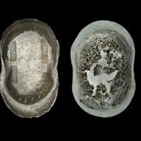  清“襄陵县 光绪二十年十一月 孙裕瑞”五十两银锭 