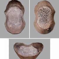  清山西“应州·乾隆四十二年六月·张节”五十两银锭一枚，重：1881 g，此锭阴刻铭文，该锭是山西早期的代表银锭，铸造规范，原味巧克力包浆皮壳，风格独特，目前存世仅见此枚，干隆年间铭文极为罕见，极为难得