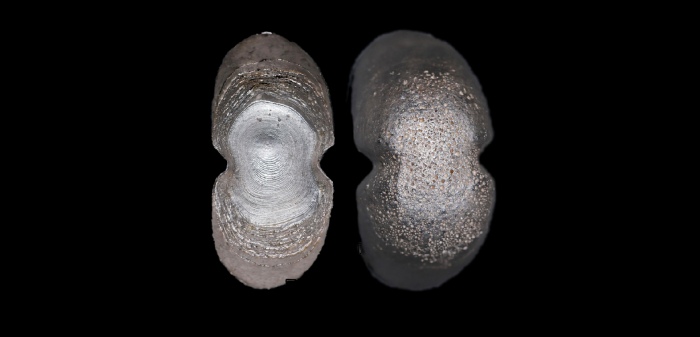  清素面高翅五十两银锭 方乾评级MS62 