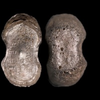  明“绵州解到精兵折粮银”五两型银锭 方乾评级 MS61 