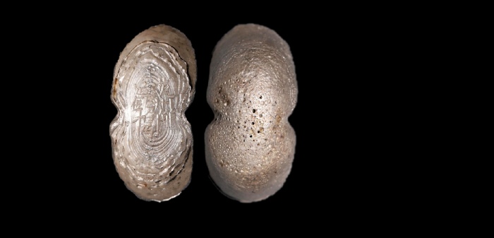  漢州觧足銀拾两银锭 方乾评级 MS62 