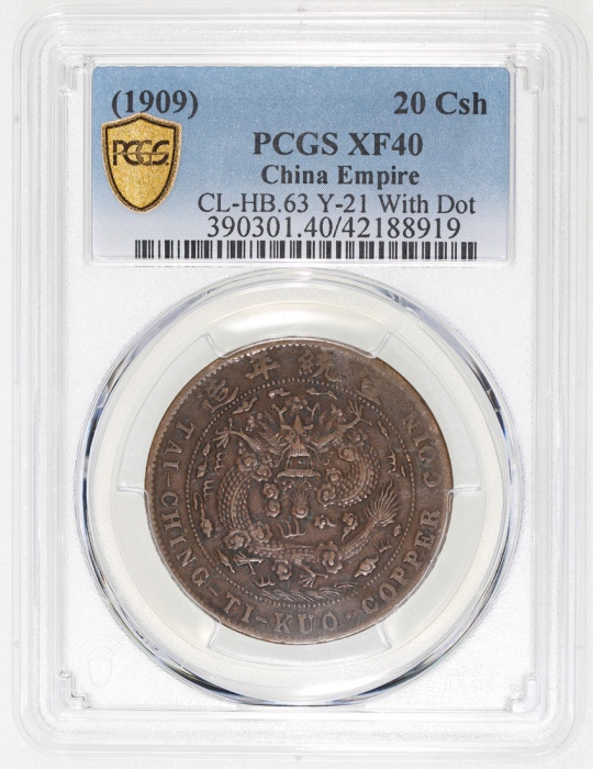  己酉大清铜币二十文，带点版，PCGS XF40，#42188919