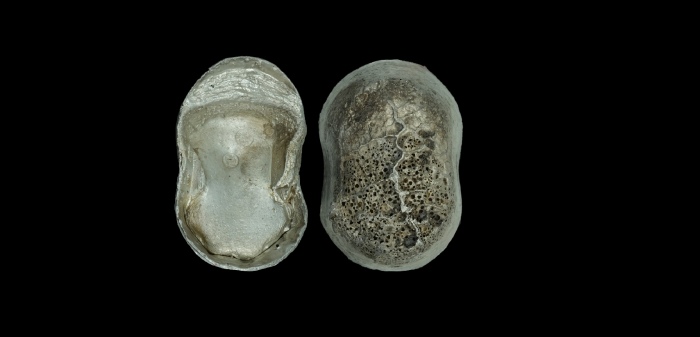  清“蔚州 光绪年 祥聚 福 义”五十两银锭  