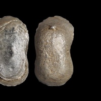  明素面五两型银锭 华夏评级AU