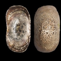  清云南素面五两型银锭 华夏评级AU