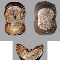  清“光绪年月日·吉林义源长·匠高升”五十两银锭一枚，重：1928.8g，锭形优美，戳记深峻，文字挺拔立体，醇厚灰色包浆，底光亮泽，状态自然，公博 AU55（1610042738）