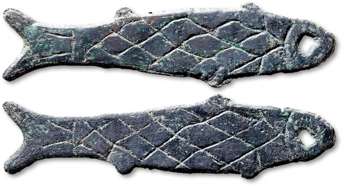  先秦鱼币 极美品