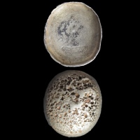  清四川吉顺兴十两型圆形银锭 中乾评级AU