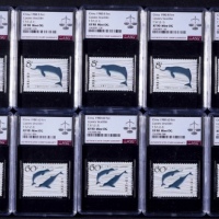  1981年T57白鱀豚新票7套