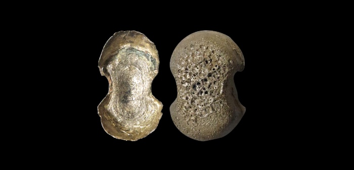  明素面五两型银锭 华夏评级UNC+