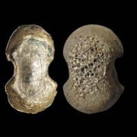  明素面五两型银锭 华夏评级UNC+