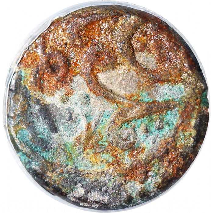  1878年新疆五分银币，PCGS XF Detail有腐蚀，#42377274