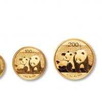  2010年熊猫普制金币一套五枚