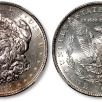  美国1881年1美元摩根银币一枚，打制规范，图案细节清晰分明，浮雕感强烈，淡金色包浆，旋转底光，丝滑闪亮，状态上佳，CNCS MS64（100025571）