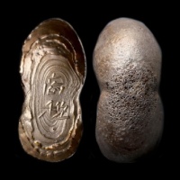  明商税银锭 方乾评级 MS61 