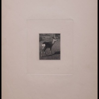  1920年代日本内阁印刷局小鹿图试印样张