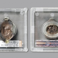  明“鳌”字科举吉语二两银锭一枚，重：76.9g，字戳清晰，原始包浆带底光，罕见，完全未使用品，华夏评级AU（987658）<br>来源：戴学文先生旧藏<br>编者按：此锭“鳌”字印，加盖于锭首。“鳌”