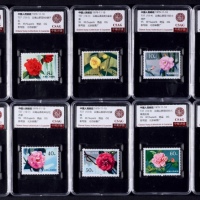  1979年T37山茶花新票全套10枚