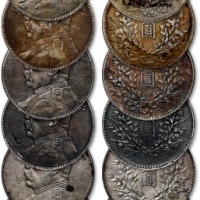 民国八年袁世凯像壹圆银币共十枚，包浆自然，银光亮泽，金盾PCGS VF Detail（2枚）、XF Detail（8枚）