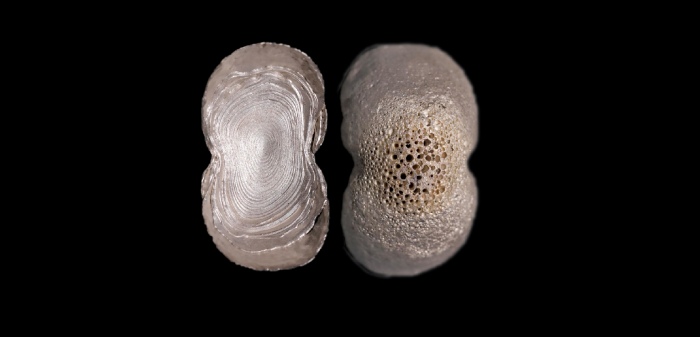  明素面五两型银锭 方乾评级 MS62 