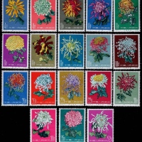 1960年特44菊花新票全套18枚