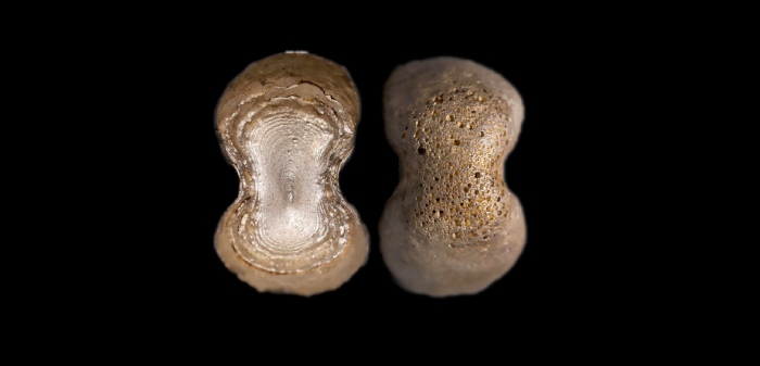  明素面高翅五两型银锭 方乾评级 MS62+ 